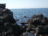 i Trezza-20110311 064
